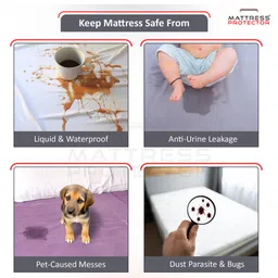 Mattress Protector Waterproof Mattress Cover Single/Twin Bed For Bed Size Skirting upto 10 Inch - White image 4