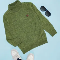 Pantaloons Junior Boys Forest Shade Self Full Sleeves Sweaters & Cardigans image 1