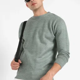 Campus Sutra Sage Green Regular Fit Self Design Sweater image 1