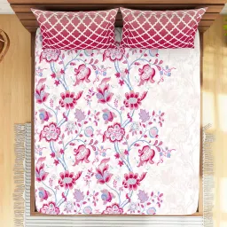 Spaces Pink 144 TC Cotton Double Bed Sheet with Pillow Cover image 3