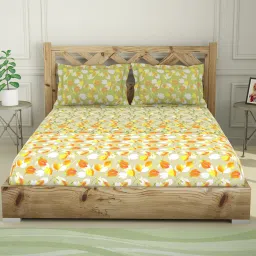 Spaces Green 210 TC Cotton Double Bed Sheet with Pillow Cover image 1