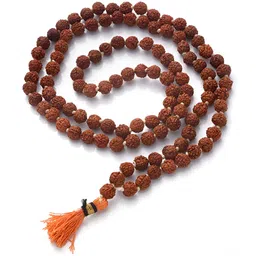 Pray Everyday Rudraksha Mala With 108 beads-picture-14
