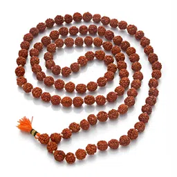 Pray Everyday Minimal Rudraksha Mala with 108 beads-picture-22