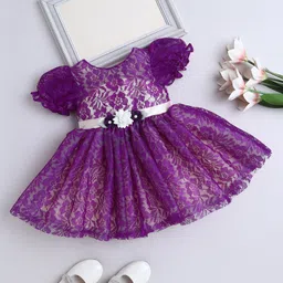 The Magic Wand Net Woven Half Puffed Sleeves Floral Applique Detailed & Embellished Dress - Wine-picture-37