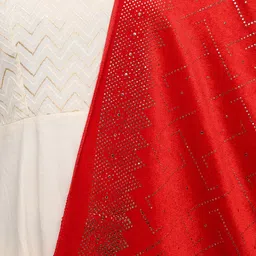 Exotic India Beads & Stones Velvet Dupatta image 3