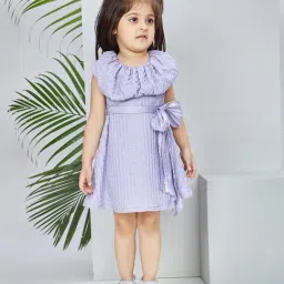 Peppermint Girls Purple Cotton Regular Fit Textured Dress-picture-47