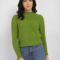 Allen Solly Green Regular Fit Sweater image 1