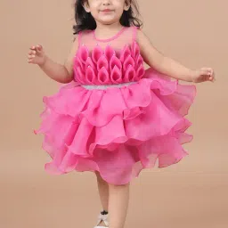Titrit Pink Organza Embellished Dress for Girls-picture-28
