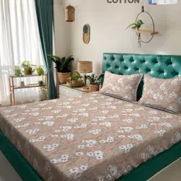 Klotthe Beige 400 TC Cotton Double Book Fold Bedsheet with 2 Pillow Covers-picture-17