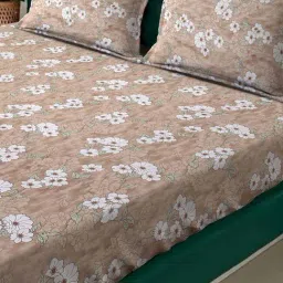 Klotthe Beige 400 TC Cotton Double Book Fold Bedsheet with 2 Pillow Covers image 3