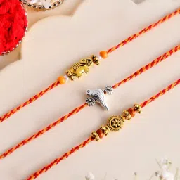 Aapno Rajasthan Gold Festive Casual Rakhi with Roli Chawal & Greetings Card-picture-42
