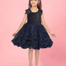 Aarika Kids Navy Applique Frock Dress-image-37