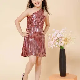 Piccolo Kids Maroon Regular Fit Dress-picture-41