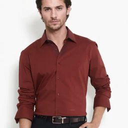Rare Rabbit Rust Regular Fit Solid Shirt-picture-4