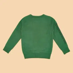 Pantaloons Junior Boys Mint Textured Full Sleeves Sweaters & Cardigans image 4