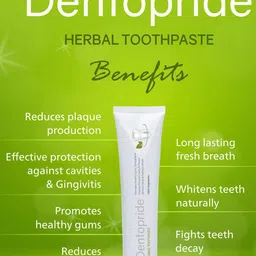Dentopride Set Of 2 Herbal Toothpaste- 100 g Each image 3