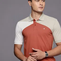 Louis Philippe Colourblocked Polo Collar T-shirt-picture-42