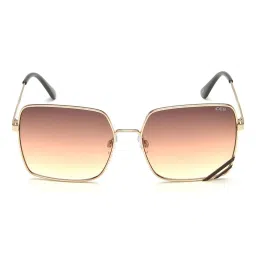 IDEE Brown Butterfly Sunglasses for Women image 1