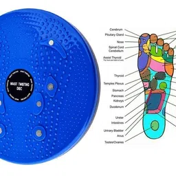 zordik Zordik- Tummy Twister | Belly Fat Exercise Equipment | Waist Disc Acupressure With Magnets Reflexology Slimming Abdominal 2 in 1 tummy twister Ab Exercise Equipment For Home | Gym Equipment for Men and Women image 2