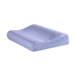 The White Willow Blue Woven Foam Contour Pillow - Set of 1 image 1