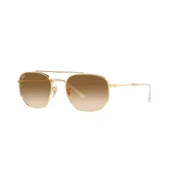 Ray-Ban Brown Irregular Unisex Sunglasses image 1