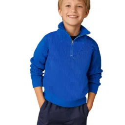 Cherry Crumble By Nitt Hyman Unisex Blue Self Design Cotton Regular Fit Sweater image 1