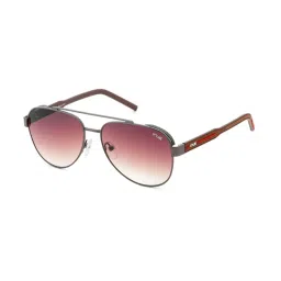 Irus Brown Pilot Sunglasses For Men image 1