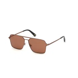 Web Eyewear Brown Square Sunglasses for Men Designed in Italy image 1