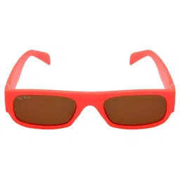 Ted Smith Brown Wayfarer UV Protection Unisex Sunglasses image 3