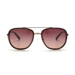Tommy Hilfiger TH2589 Light Brown Gradient Aviator image 1