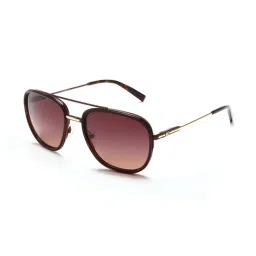 Tommy Hilfiger TH2589 Light Brown Gradient Aviator image 2