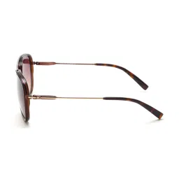 Tommy Hilfiger TH2589 Light Brown Gradient Aviator image 4