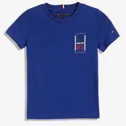 Tommy Hilfiger Wedge Blue Logo Regular Fit T-Shirt-image-43