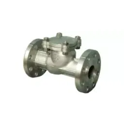 Valson 1 Inch,25 mm Stainless Steel 316 Swing Type Check Valve-picture-14