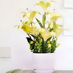 Royaloak Yellow 1 Pieces Lily Artificial Flower With Pot-image-12