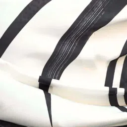 Odette Black & White Printed Saree image 3