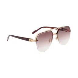 Ted Smith Brown Aviator UV Protection Unisex Sunglasses image 2