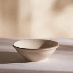 Pure Home and Living Beige Porcelain Solid Serving Bowls-picture-38