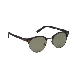 Timberland Green Cat Eye Sunglasses for Men image 2