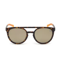 Timberland Brown Oval Sunglasses for Men image 1
