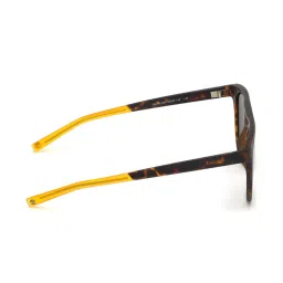 Timberland Brown Oval Sunglasses for Men image 4