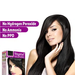 Vegetal Set Of 2 Bio Natural Hair Colour- 150 g Each - Soft Black image 2