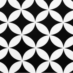 SEJ by Nisha Gupta Black & White Cushion Covers - Set of 1 image 4