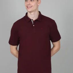 Cantabil Purple Regular Fit Polo T-Shirt-picture-1
