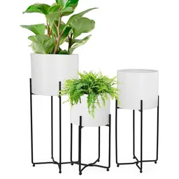 Inshreys Set Of 3 Indore Decorative Planters-picture-22