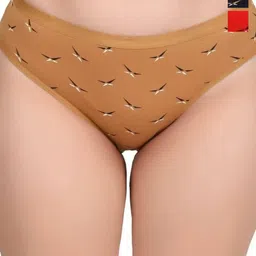 Nakshu Women Set Of 3 Briefs-image-15