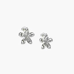 VALANOVA Women Earrings Diamond image 5