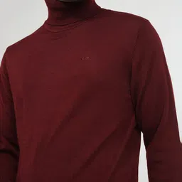 ColorPlus Turtle Neck Pullover Sweater image 3
