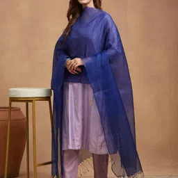 Fabindia Striped Woven Design Sequinned Silk Dupatta image 3