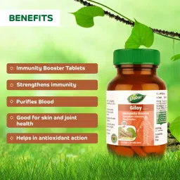 Dabur Giloy Tablets Immunity Booster - 60 tabs (Get 20 tabs Free) image 3